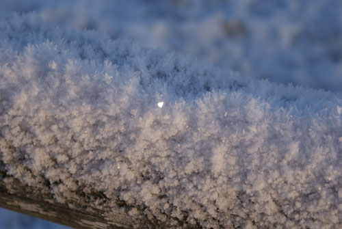 Vinter 2009