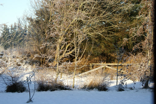 Vinter 2009