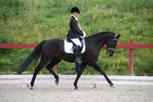 Dick Turpin og Eve
