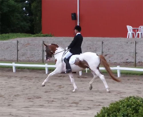 Sune og Bugsy