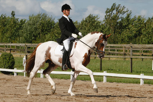Sune og Bugsy