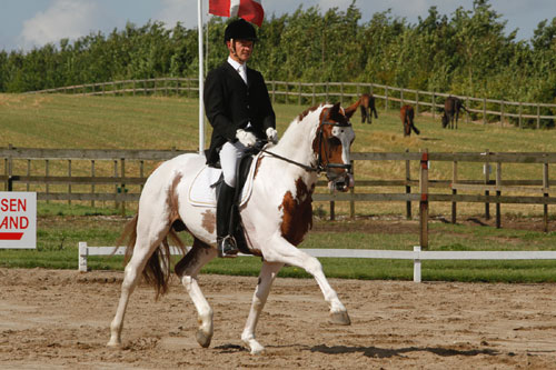 Sune og Bugsy