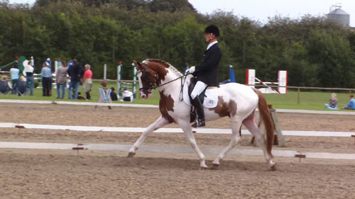 Sune og Bugsy
