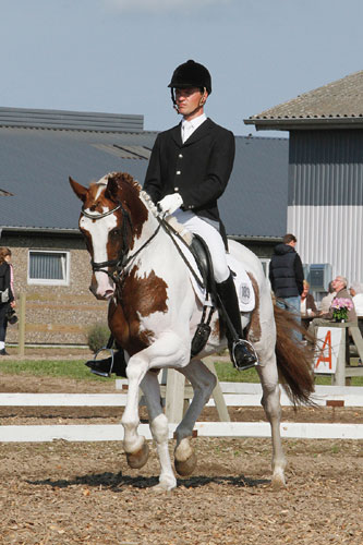Sune og Bugsy