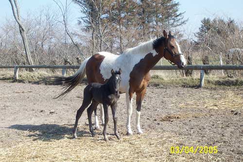 Cassiopeia med Doc Holliday