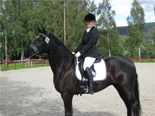 Søholm's Dick Turpin og Eve