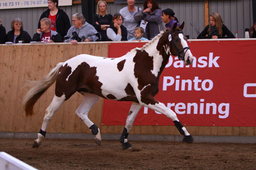 Skywalker kåring 2009