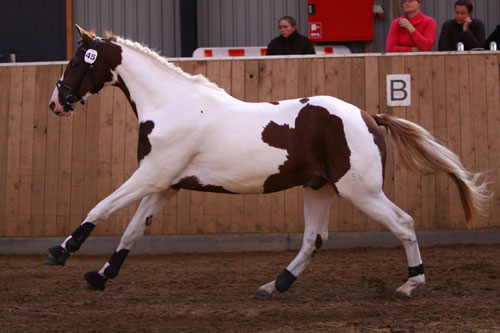 Skywalker kåring 2009