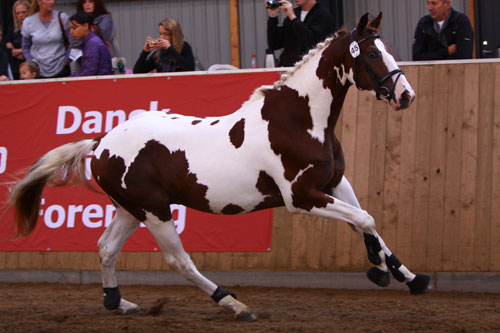 Skywalker kåring 2009