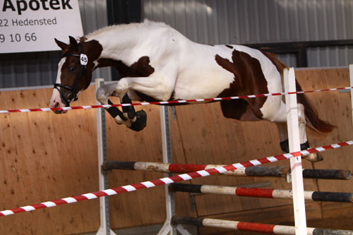 Skywalker kåring 2009