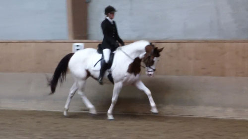 Snowball og Louise