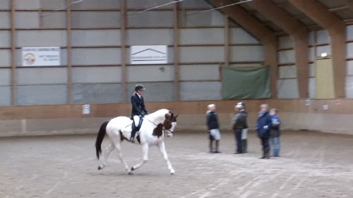 Snowball og Louise