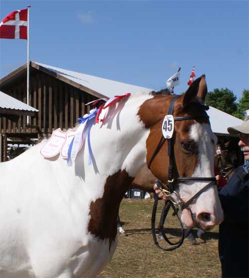 Søholm's Snowball