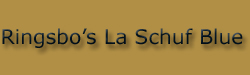 Schuffe