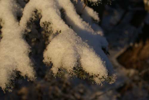 Vinter