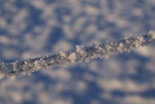 Vinter